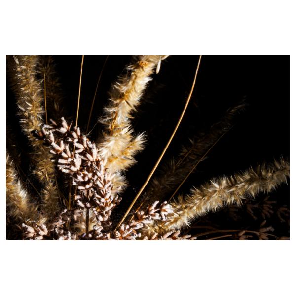 PHOTO84, CLUB, 84 , LUBERON